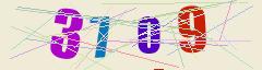 CAPTCHA validation image