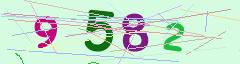CAPTCHA validation image