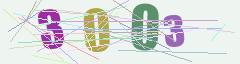 CAPTCHA validation image