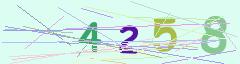 CAPTCHA validation image