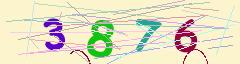 CAPTCHA validation image