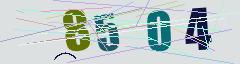CAPTCHA validation image