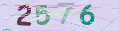 CAPTCHA validation image