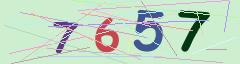 CAPTCHA validation image