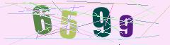 CAPTCHA validation image