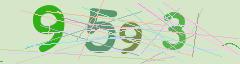 CAPTCHA validation image