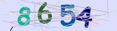 CAPTCHA validation image
