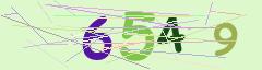 CAPTCHA validation image