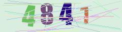CAPTCHA validation image