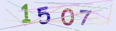 CAPTCHA validation image