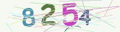 CAPTCHA validation image