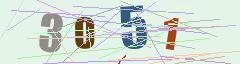 CAPTCHA validation image