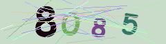 CAPTCHA validation image