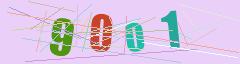 CAPTCHA validation image