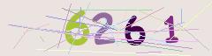 CAPTCHA validation image