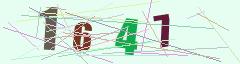 CAPTCHA validation image