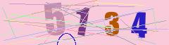 CAPTCHA validation image