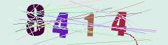 CAPTCHA validation image