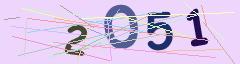 CAPTCHA validation image