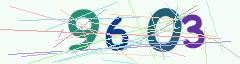 CAPTCHA validation image