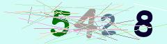 CAPTCHA validation image