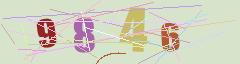 CAPTCHA validation image