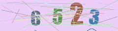 CAPTCHA validation image