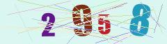 CAPTCHA validation image