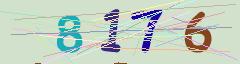 CAPTCHA validation image