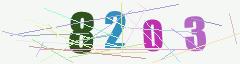 CAPTCHA validation image