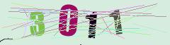 CAPTCHA validation image
