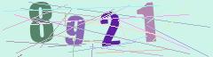 CAPTCHA validation image