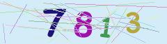 CAPTCHA validation image