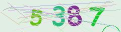 CAPTCHA validation image