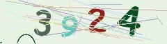 CAPTCHA validation image