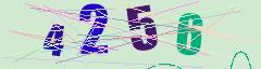 CAPTCHA validation image