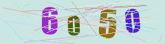 CAPTCHA validation image