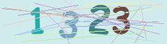 CAPTCHA validation image