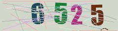 CAPTCHA validation image