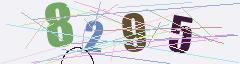 CAPTCHA validation image