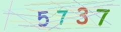 CAPTCHA validation image
