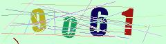 CAPTCHA validation image