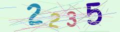 CAPTCHA validation image