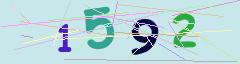 CAPTCHA validation image