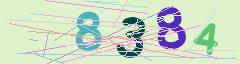 CAPTCHA validation image