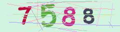CAPTCHA validation image