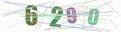 CAPTCHA validation image