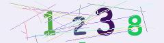 CAPTCHA validation image