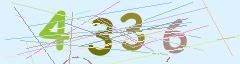 CAPTCHA validation image
