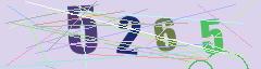 CAPTCHA validation image
